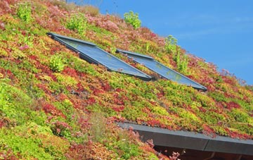 Brierley living roof systems